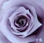 櫻