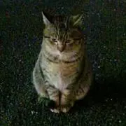 さーちゃん＠