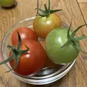 はむやまころんの画像