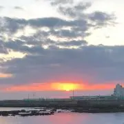 よっぴの画像
