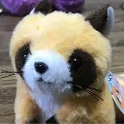 マカロニの画像