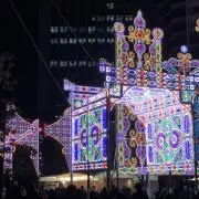 神戸っ子の画像