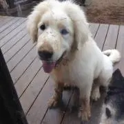 ひろ