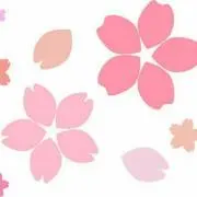 さくら
