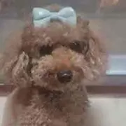 ココ！