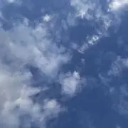 riの画像
