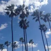 ゆぅゆぅの画像