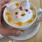よもぎん☺︎⭐️即購入OK⭐️の画像