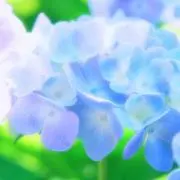 せんり