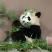 ミルク