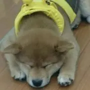 ローカタ