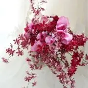 じゃぱまるの画像