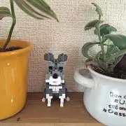 チョビ3326
