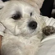 けろ