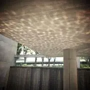 sakuの画像