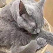 懸賞ちゃんの画像
