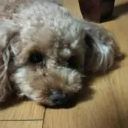 えすくら(プロフィール読お願いします)