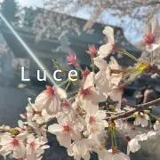 Luce✨の画像