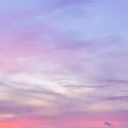 あの画像