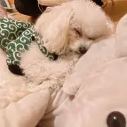 まるの画像