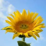 えもっち