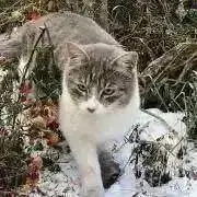 たっぴの画像