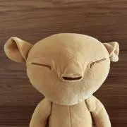 ぽこちゃんの画像