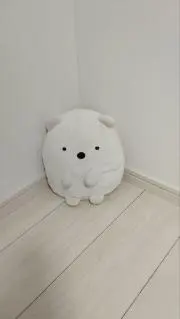 whiteの画像