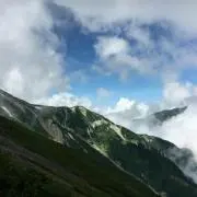 こむぎの画像