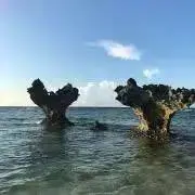 ぷ〜