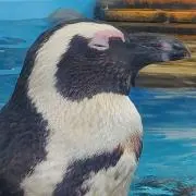 あっきーさん