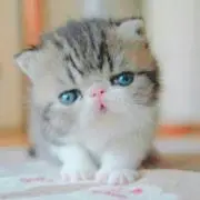 るんの画像