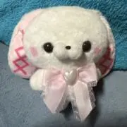 ココアの画像