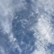 ttの画像