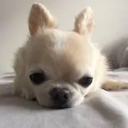 yaruki@