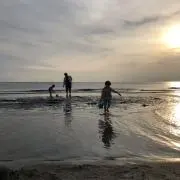 SIOの画像