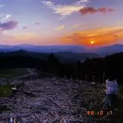 だだこねの画像