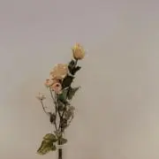 m mの画像