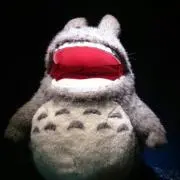とんの画像