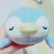 アポロの画像