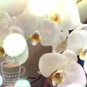 rururu