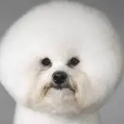 nnnaok.m