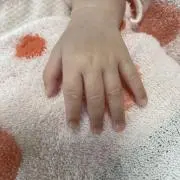 しまの画像