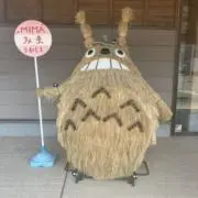 綾ぽん