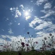 user_b637594bの画像