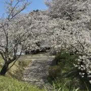 Yuka