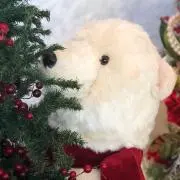 うず★の画像