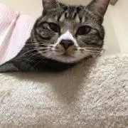 こう