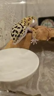 1番の画像