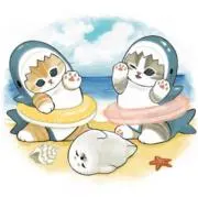 あざらしの画像